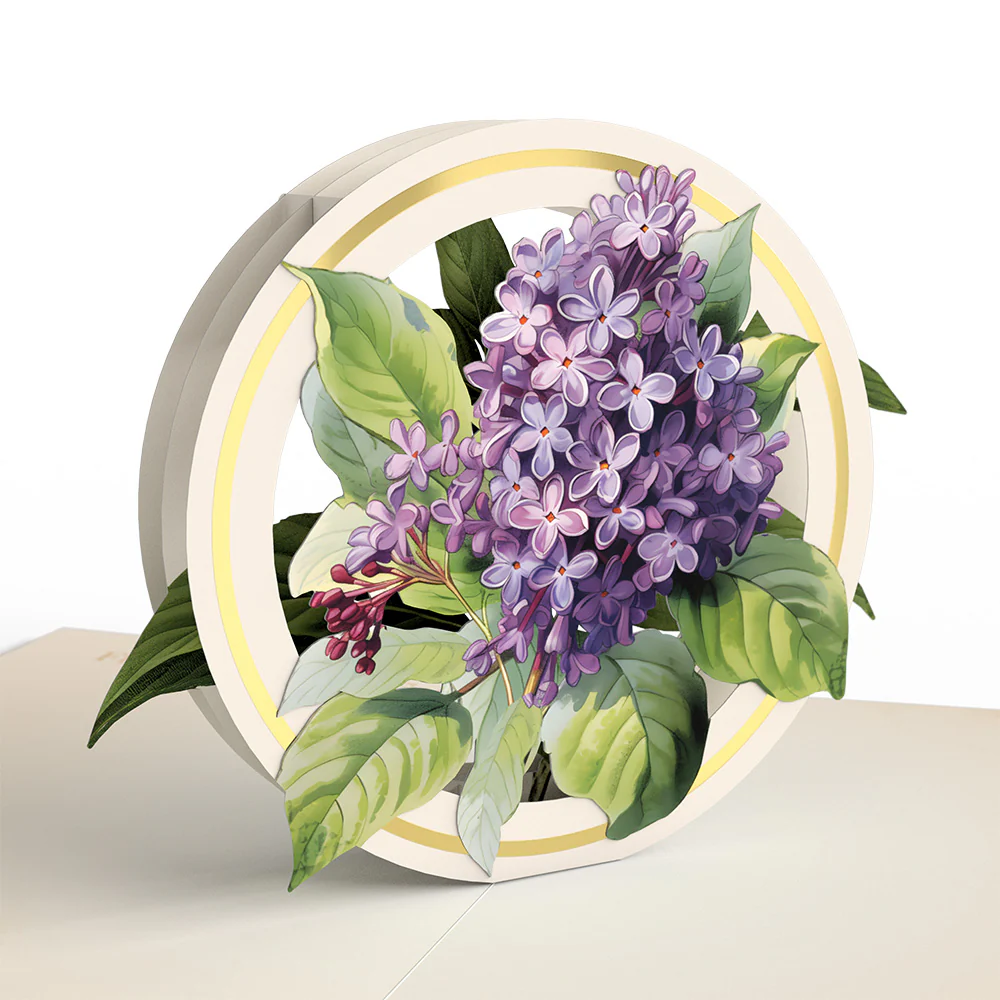 Beautiful Botanicals Box Set (Assorted 12-Pack): Paperpop® Card - Image 10