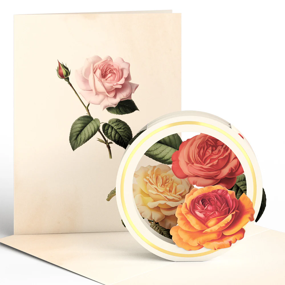 Beautiful Botanicals Box Set (Assorted 12-Pack): Paperpop® Card - Image 12