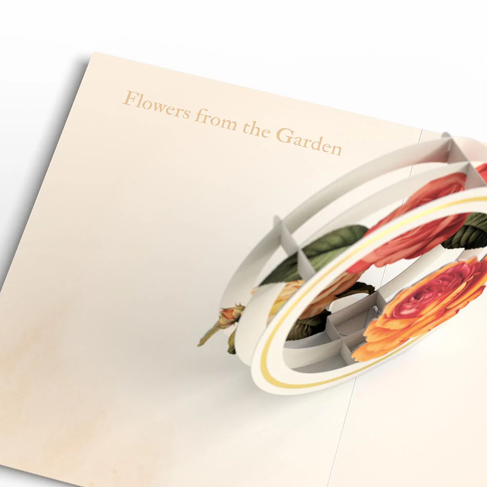 Beautiful Botanicals Box Set (Assorted 12-Pack): Paperpop® Card - Image 14