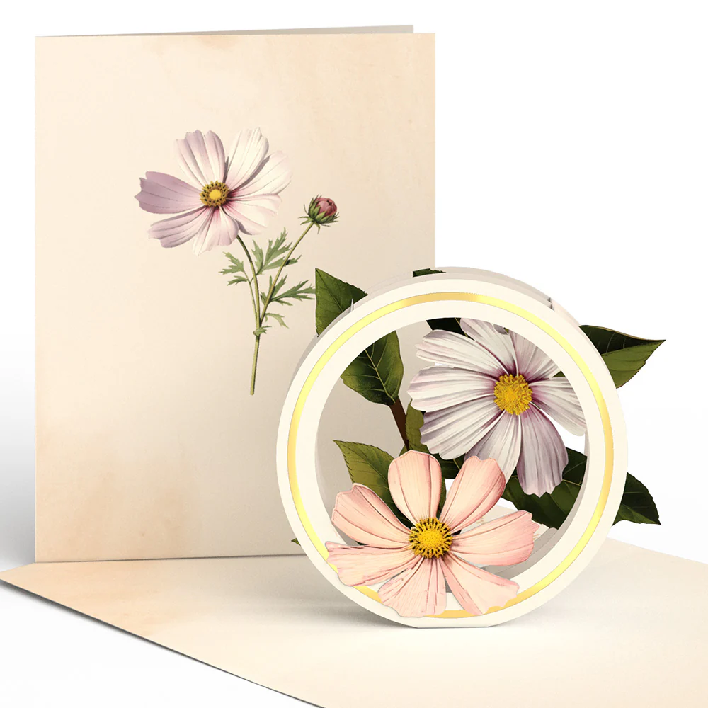 Beautiful Botanicals Box Set (Assorted 12-Pack): Paperpop® Card - Image 15