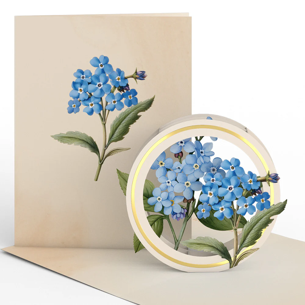 Beautiful Botanicals Box Set (Assorted 12-Pack): Paperpop® Card - Image 3