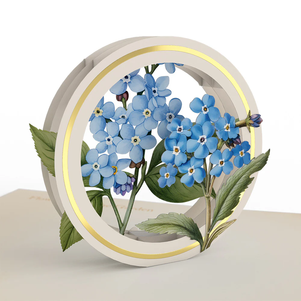 Beautiful Botanicals Box Set (Assorted 12-Pack): Paperpop® Card - Image 4