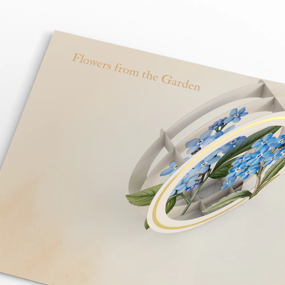 Beautiful Botanicals Box Set (Assorted 12-Pack): Paperpop® Card - Image 5