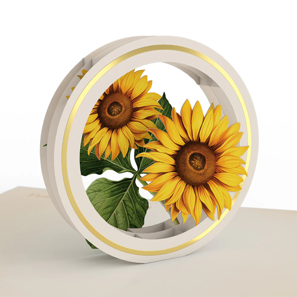 Beautiful Botanicals Box Set (Assorted 12-Pack): Paperpop® Card - Image 7