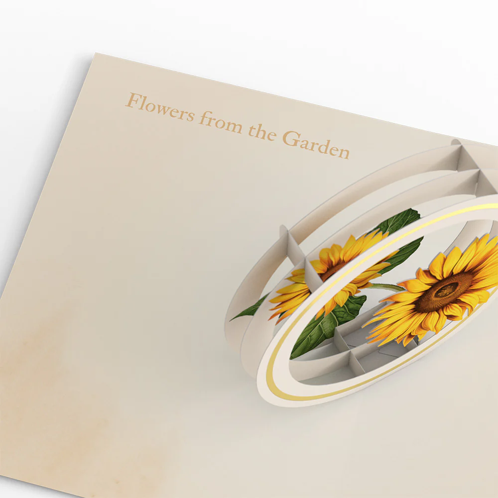 Beautiful Botanicals Box Set (Assorted 12-Pack): Paperpop® Card - Image 8