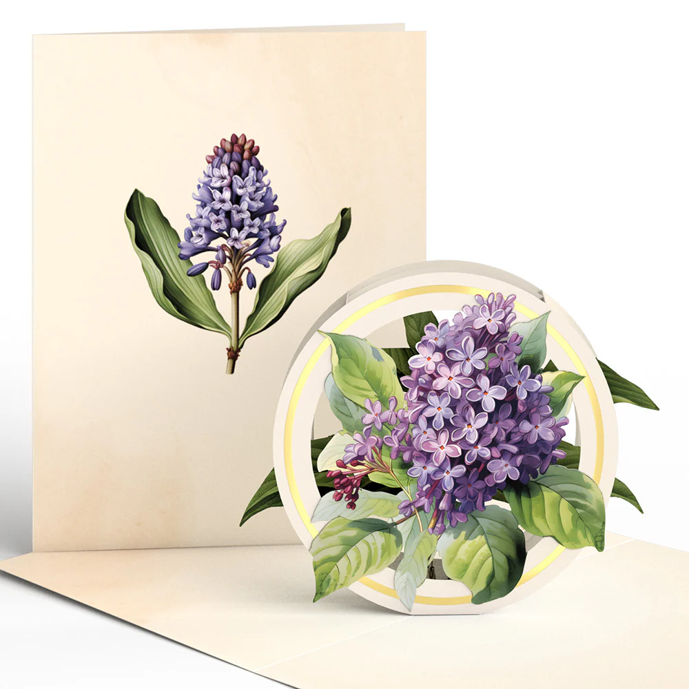 Beautiful Botanicals Box Set (Assorted 12-Pack): Paperpop® Card - Image 9