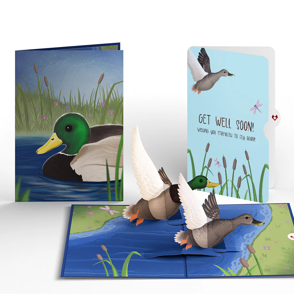Bestselling Get Well Cards