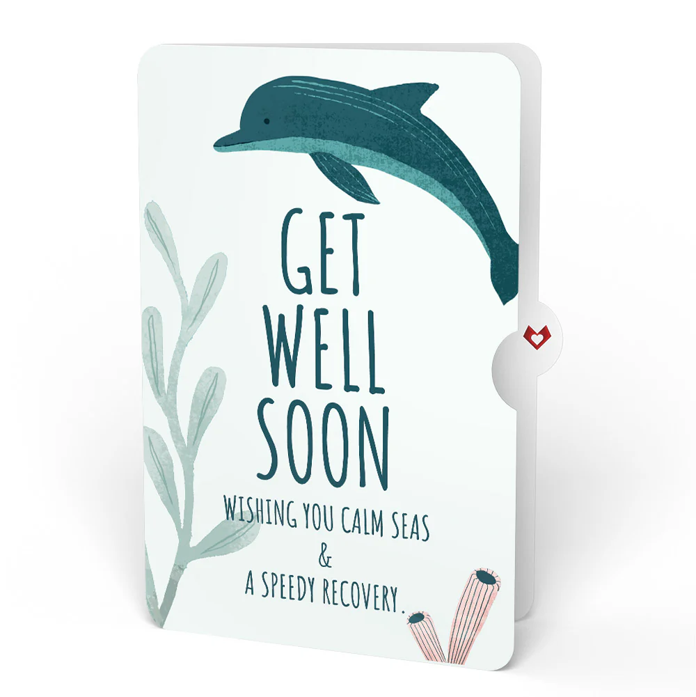 Playful Dolphins Get Well Soon Pop-Up Card and Sentiment Set - Image 4