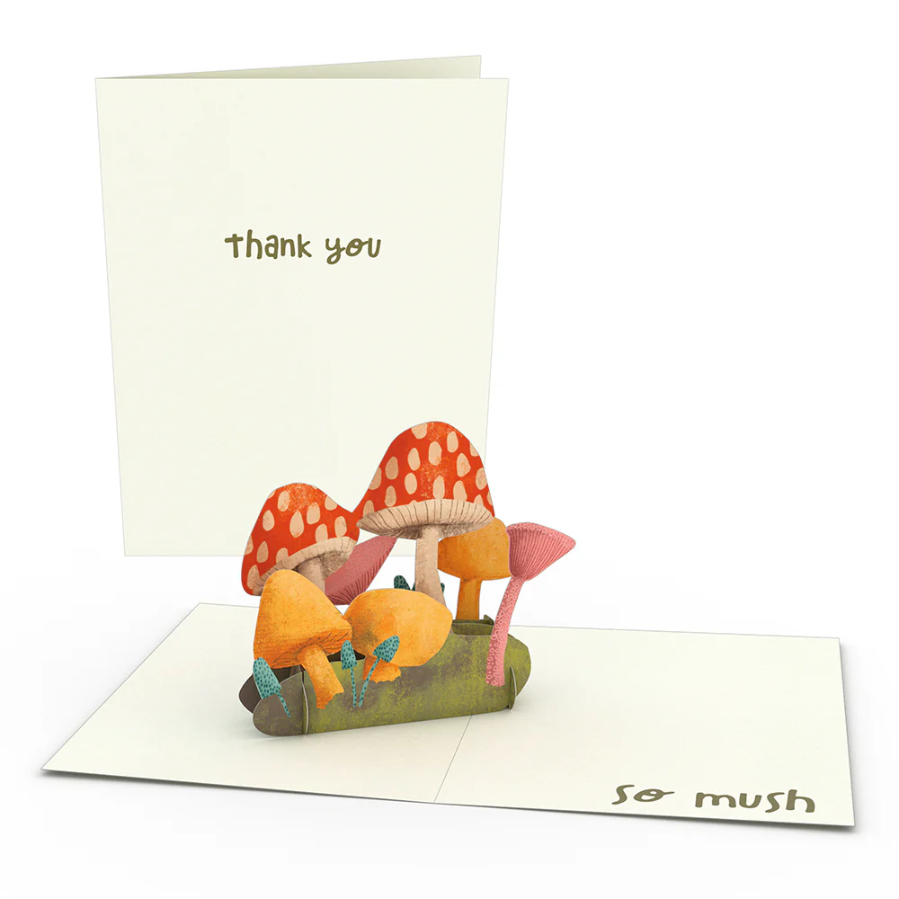 Thank You Whimsical Notecards (Assorted 4-Pack) - Image 3