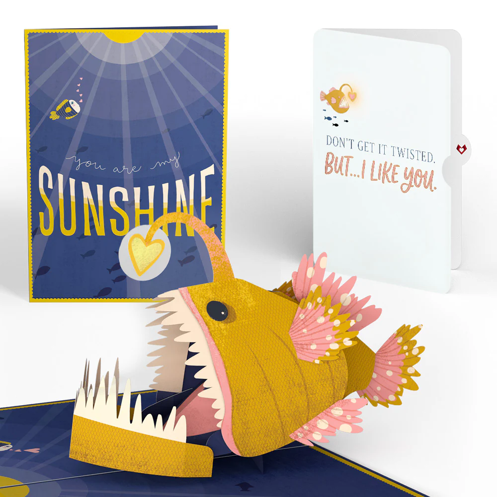Best-Selling Pop-Up Cards, Gifts, & More